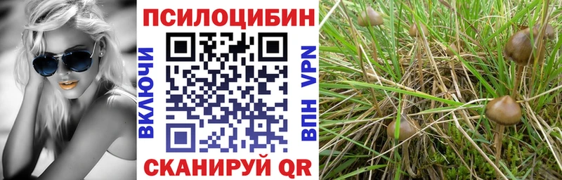 Псилоцибиновые грибы Psilocybine cubensis  Купить  Осинники 